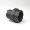Adaptor Female BSP