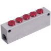 5 Way Manifolds BSPP