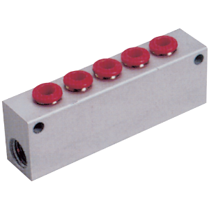 5 Way Manifolds BSPP